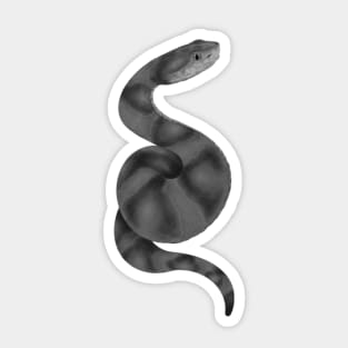 Copperhead Sticker